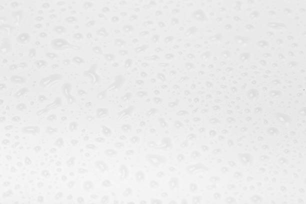 istock Water drops on glass background. Rain droplets on white glass background 1169810951