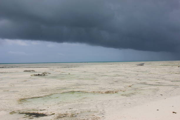 istock A beach on Zanzibar and a moody sky / dark clouds 1169814687