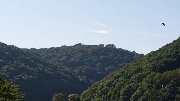 istock Rural view of the river valley, Cornwall 1169815984