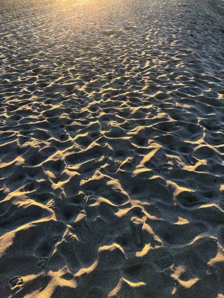 istock Morning footprints in the sand - Color 1169817146