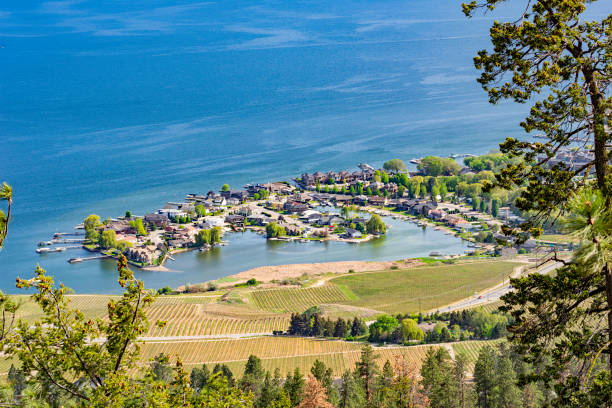 uma vista da subdivisão de green bay e do lago okanagan do monte boucherie em west kelowna colúmbia britânica canadá - kelowna okanagan scenics okanagan valley - fotografias e filmes do acervo