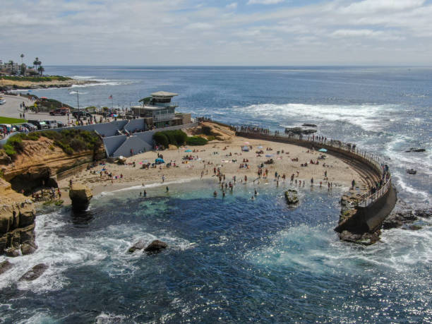 beachgoers enjoying a beautiful sunny afternoon at la jolla cove in san diego - san diego california san diego bay fun bay imagens e fotografias de stock