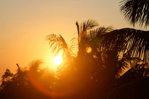 Sunset on Zanzibar