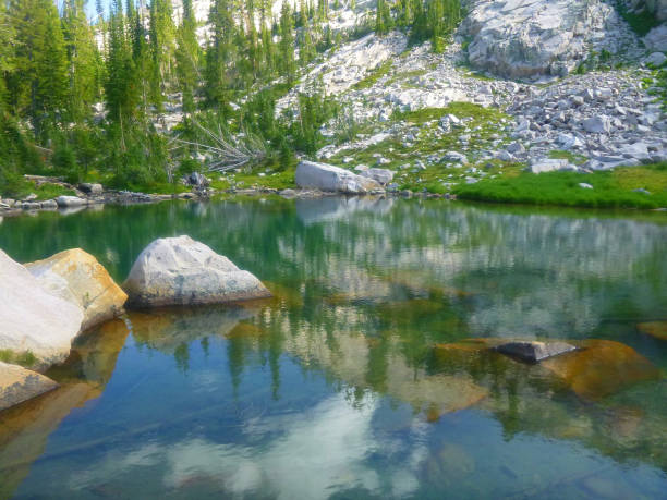 istock Autumn in the Mountains in August 1169823599