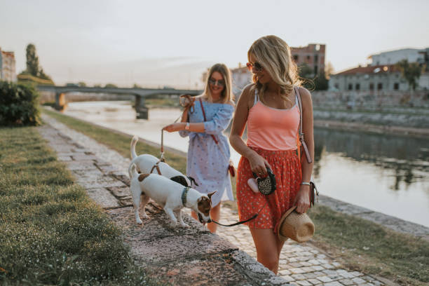 istock Friends taking dogs for  a walk 1169826935