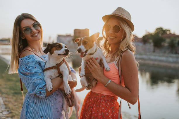 istock We love our dogs 1169826971