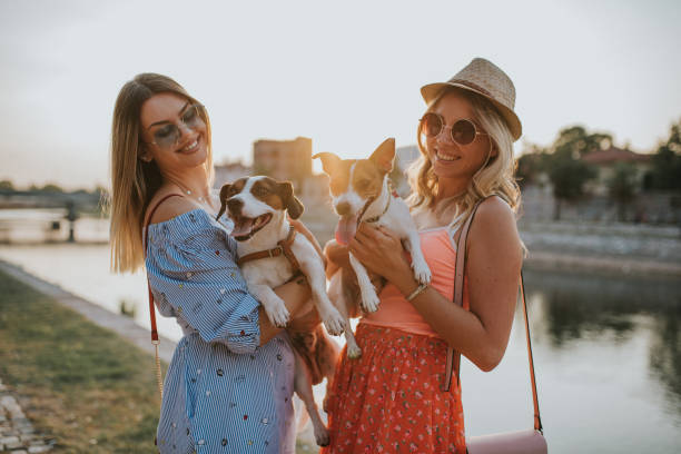 istock We love our dogs 1169826988