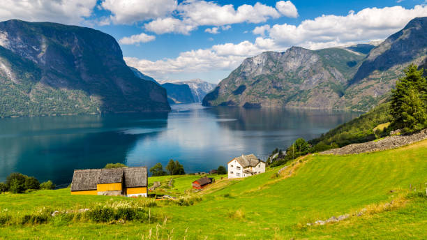 Panoramic view Stegastein in Aurland, Sogn og Fjordane, Norway View from viewpoint Stegastein on Aurlandsfjord in Aurland along the National Scenic route Aurlandsfjellet between Aurland and Laerdal in Norway stegastein viewpoint stock pictures, royalty-free photos & images