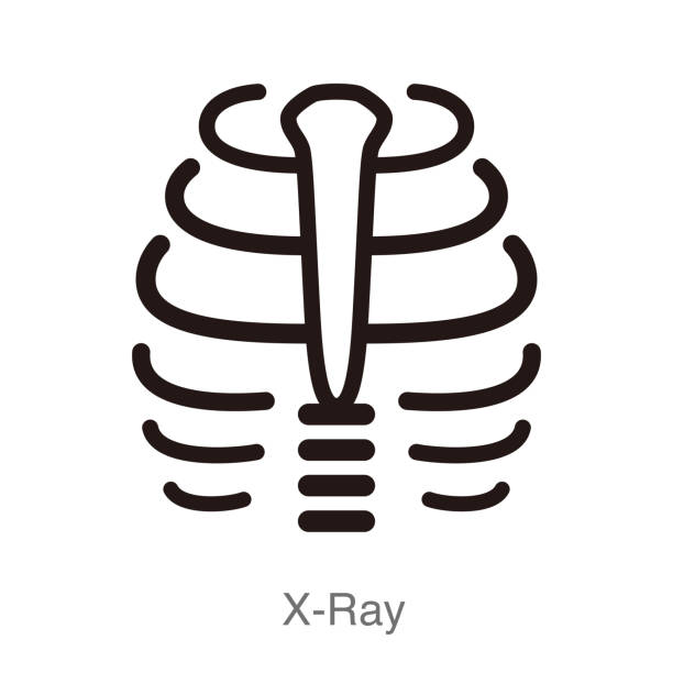 human organ rib cage flat icon, vector illustration human organ rib cage flat icon, x-ray vector illustration clip art of rib cage stock illustrations