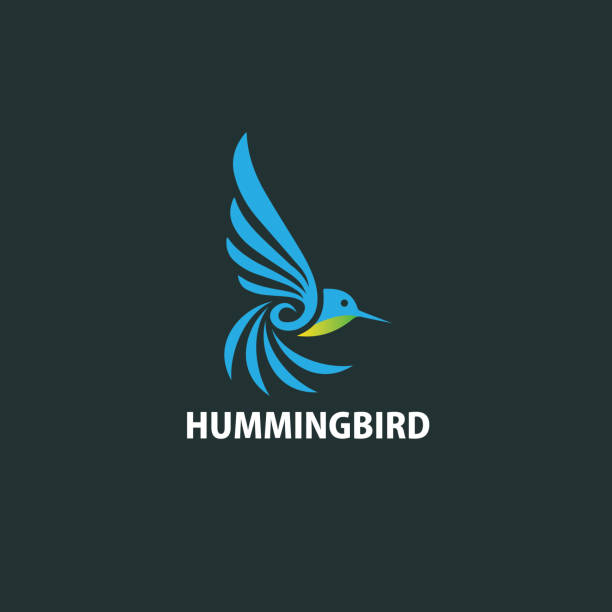 Humming bird logo vector art illustration