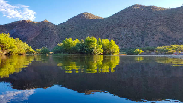 istock Water in the Desert 1169843194
