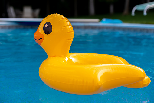 Ducky Pool Float Rubber Ducky Pool Float Stock Photo - Download Image Now - Beak, Duck ...