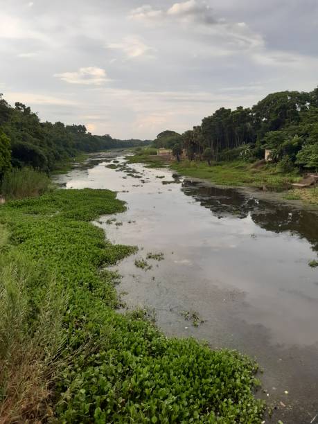 istock Westewater flows through the Ismati river through the state of west Bengal, India 1169849881