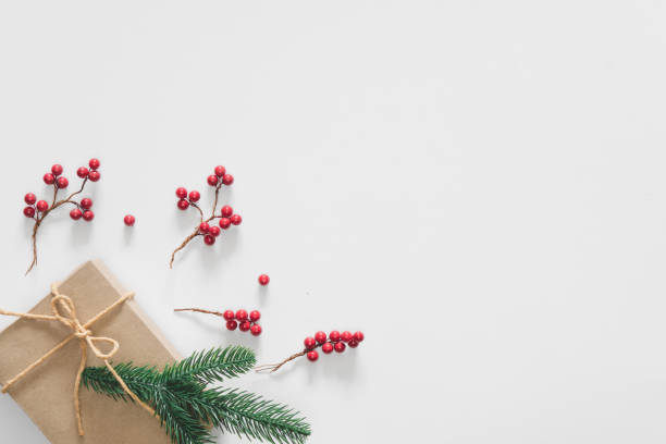 istock Christmas gift on white background with pine branches, berries and rope. Flat lay, top view, copy space 1169850477