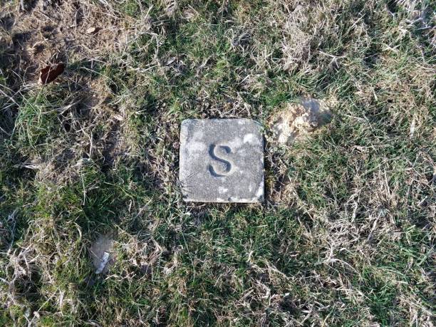 istock rock or stone with the letter S engraved on it in grass 1169851878