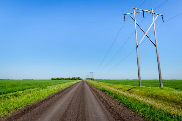 istock long black dirt road fading into the distance between fields 1169852985