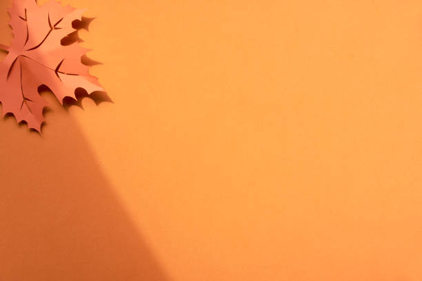 istock Autumn leaves with shadows, flat lay with copy-space on paper background 1169857829