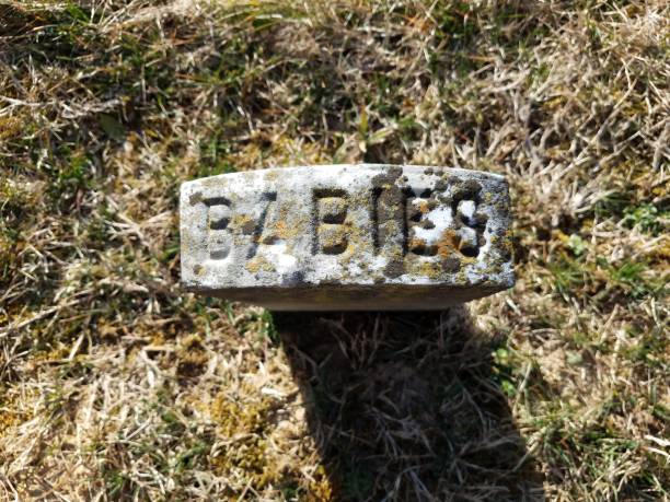 istock gravestone with the word babies engraved on it in grass 1169858717