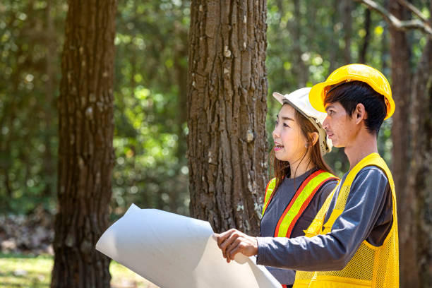 istock The supervisors are constructing roads in the forest. Young Engineer female holding blueprint on hand. Engineer team working on project at the forest. Technical operaters and Labourers. 1169862818