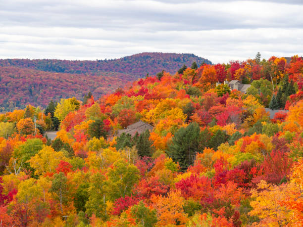 モントランブランの紅葉、ローレンティアン、ケベック、カナダ - laurentian moutains ストックフォトと画像