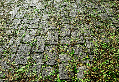 Park decoration ground and road stone
