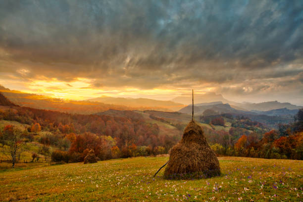 Magestic sunset in the carpatian mountains. Natural autumn landscape.