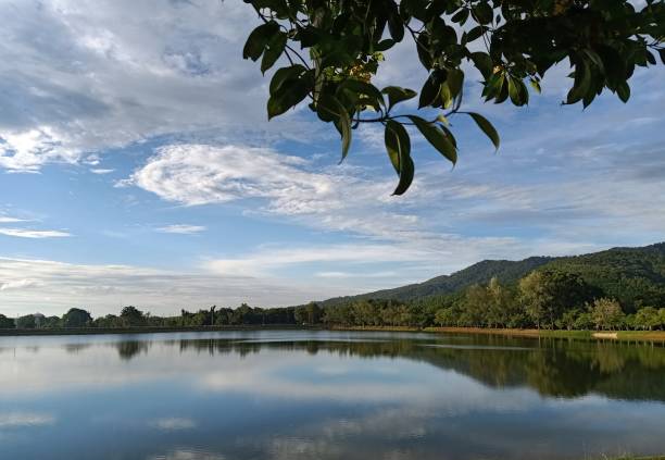 istock Sri-Tang lake 1169871846