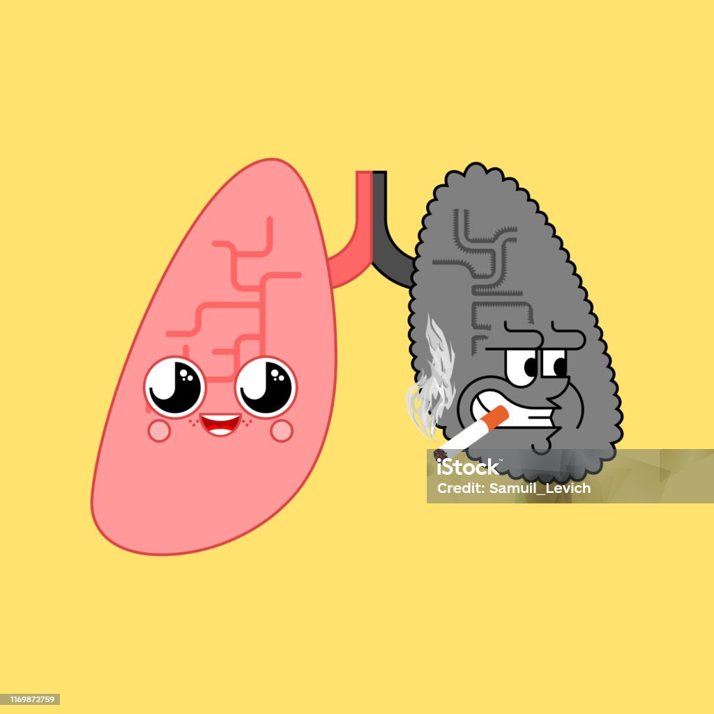 Ilustración de Pulmones Sanos Y Fumador De Pulmón Órgano Interno Saludable  Y Enfermo Ilustración Vectorial y más Vectores Libres de Derechos de Alerta  - iStock
