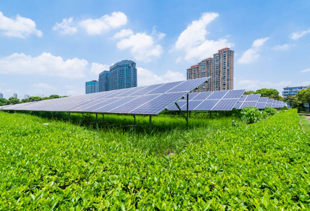 istock Wind power and solar power stations 1169873765