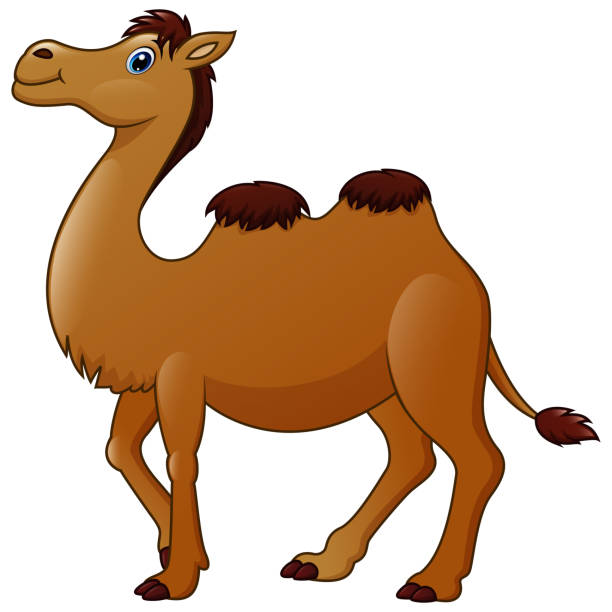 Cute A Camel Cartoon Stock Illustration - Download Image Now - Adventure,  Africa, Animal - iStock