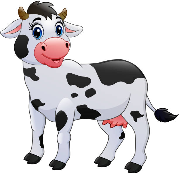 Cow Cartoon Isolated On White Background Stock Illustration - Download  Image Now - Cow, Cartoon, Happiness - iStock