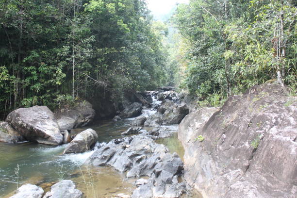 istock Environment of tropical country, Thailand 1169880272