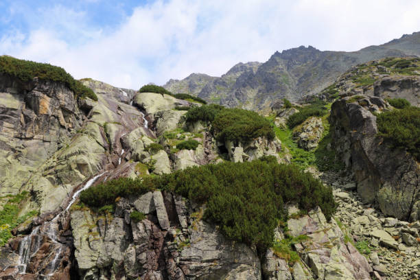 istock Mountain waterfall in High Tatras (Skok). Tall rocks covered with scrub. Blue sky with white clouds. 1169887211