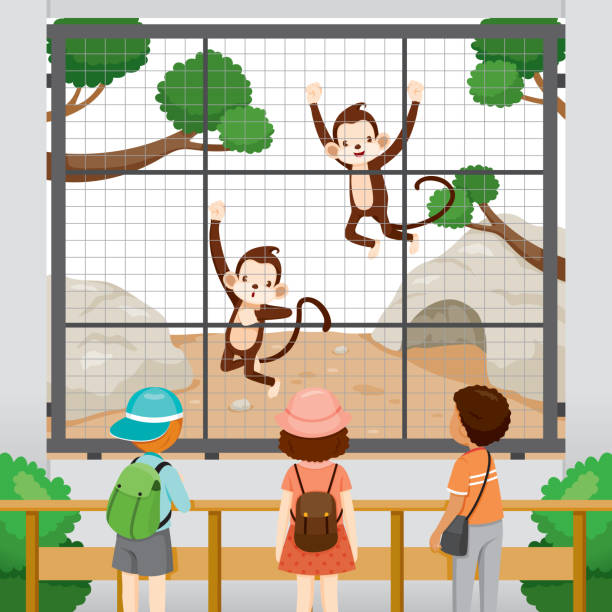 84 Cartoon Of A Monkey In Cage Illustrations & Clip Art - iStock 84 Cartoon Of A Monkey In Cage Illustrations & Clip Art - iStock