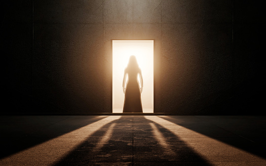 Woman silhouette in an empty room. 3d render