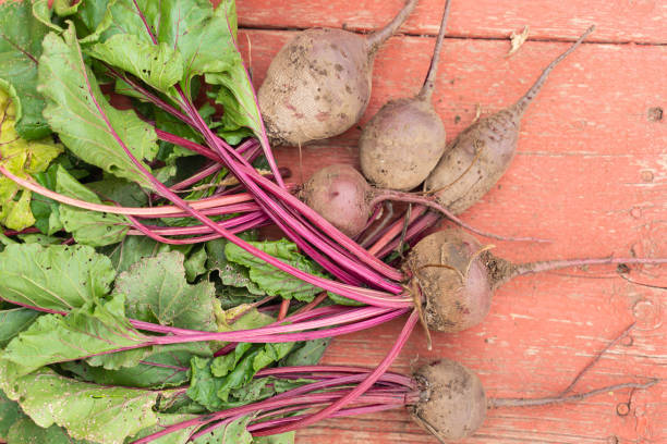 istock fresh beets on an old vintage wooden table. background in rustic style 1169893495