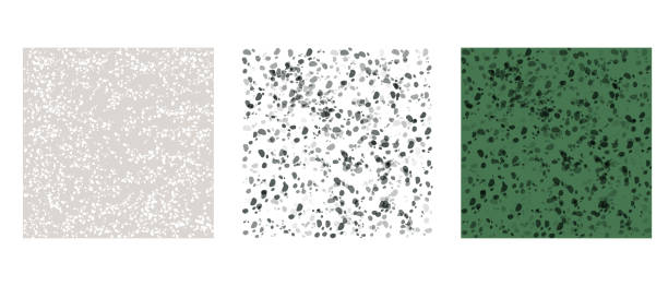 Porous Rocks Graphical Icon Porous Rock Illustrations, Royalty-Free Vector Graphics & Clip Art - iStock