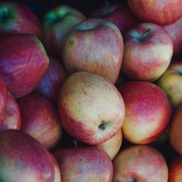 istock red apple in the market 1169896385