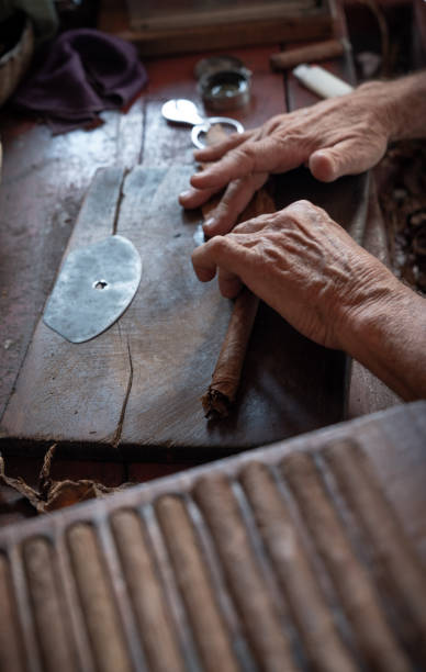 istock Cigar rolling or making by supporter in Cuba, Pinar del Rio province 1169896494