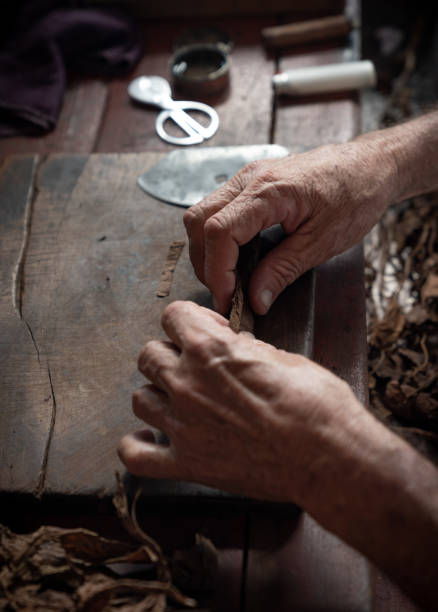 istock Cigar rolling or making by supporter in Cuba, Pinar del Rio province 1169896556