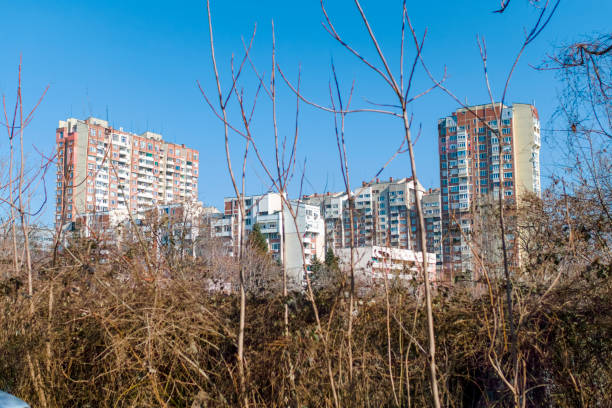 Apartment buildings behind wild weeds