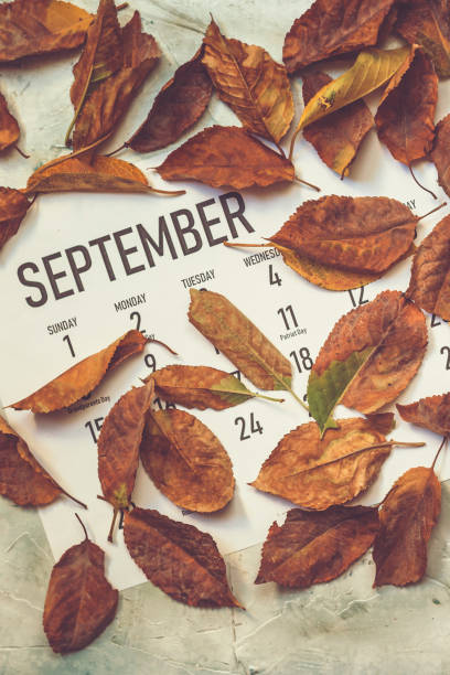 istock Monthly September 2019 calendar 1169897426
