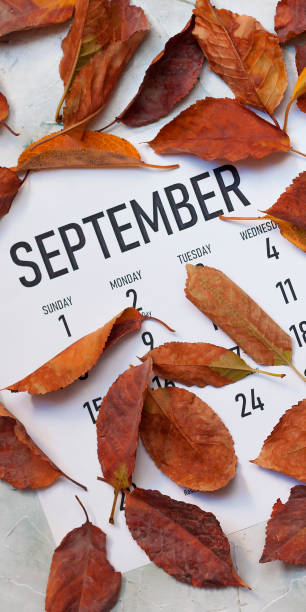 istock Monthly September 2019 calendar 1169898517