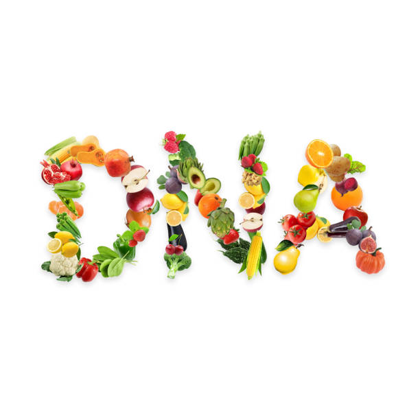 istock Nutrigenetics food concept DNA strand vegetables for health 1169900644