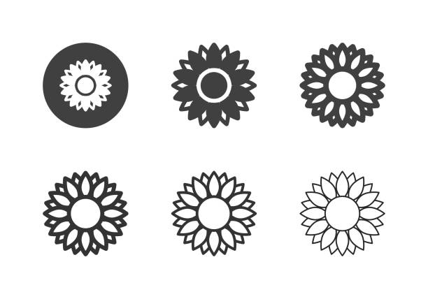 ilustrações de stock, clip art, desenhos animados e ícones de sunflower icons - multi series - sunflower