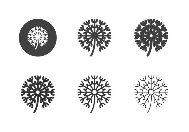 illustrazioni stock, clip art, cartoni animati e icone di tendenza di icone dei fiori di tarassaco - serie multi - dandelion