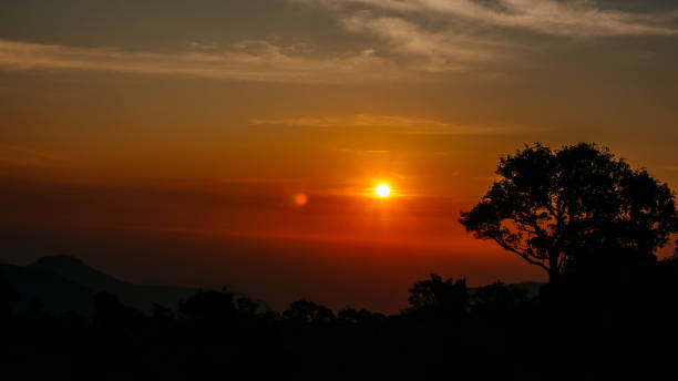 istock Panorama of rising sunbeams over mountains 1169901513