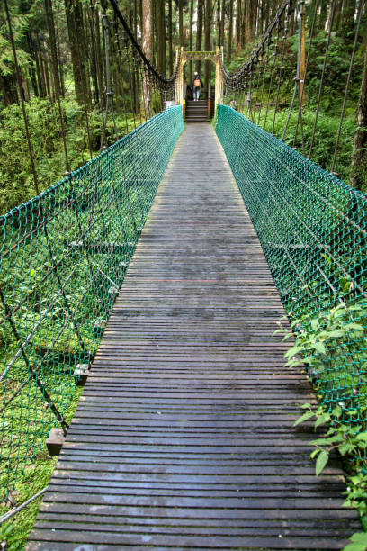 istock The green bridge in forest Alishan at taiwan 1169904005