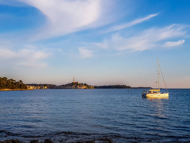 istock Rovinj - Remote view on the city centre 1169904099