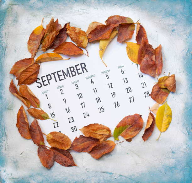 istock Monthly September 2019 calendar 1169904650